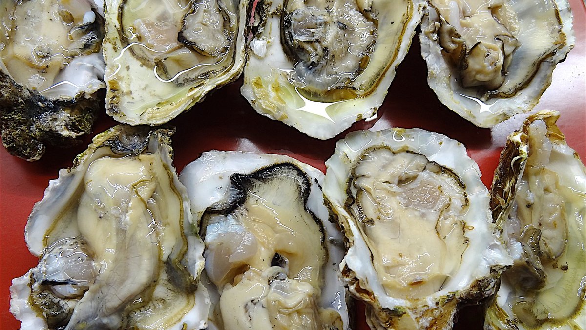 Un Américain souffre de lésions cérébrales après avoir consommé des huîtres dans un restaurant près de Chicago