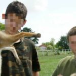 Un appel à la prudence pour une battue aux renards provoque une vague de haine contre un maire en Haute-Garonne