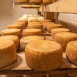 Un garçon de 13 ans meurt après neuf ans dans le coma causé par une infection liée à un fromage au lait cru en Italie