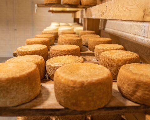 Un garçon de 13 ans meurt après neuf ans dans le coma causé par une infection liée à un fromage au lait cru en Italie