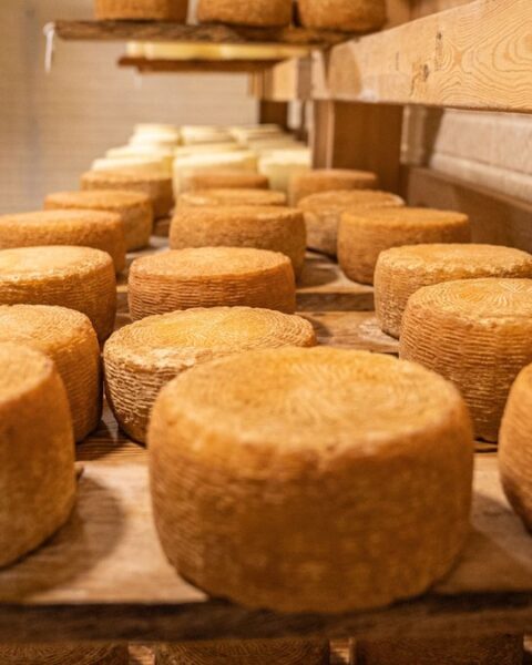 Un garçon de 13 ans meurt après neuf ans dans le coma causé par une infection liée à un fromage au lait cru en Italie