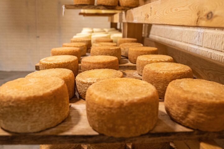 Un garçon de 13 ans meurt après neuf ans dans le coma causé par une infection liée à un fromage au lait cru en Italie