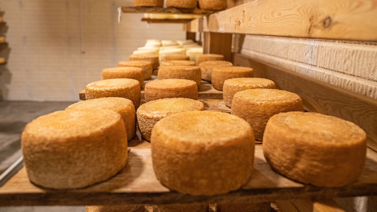 Un garçon de 13 ans meurt après neuf ans dans le coma causé par une infection liée à un fromage au lait cru en Italie