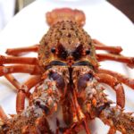 Un homme achète une langouste pour 300 euros afin de la libérer à Roquebrune-Cap-Martin