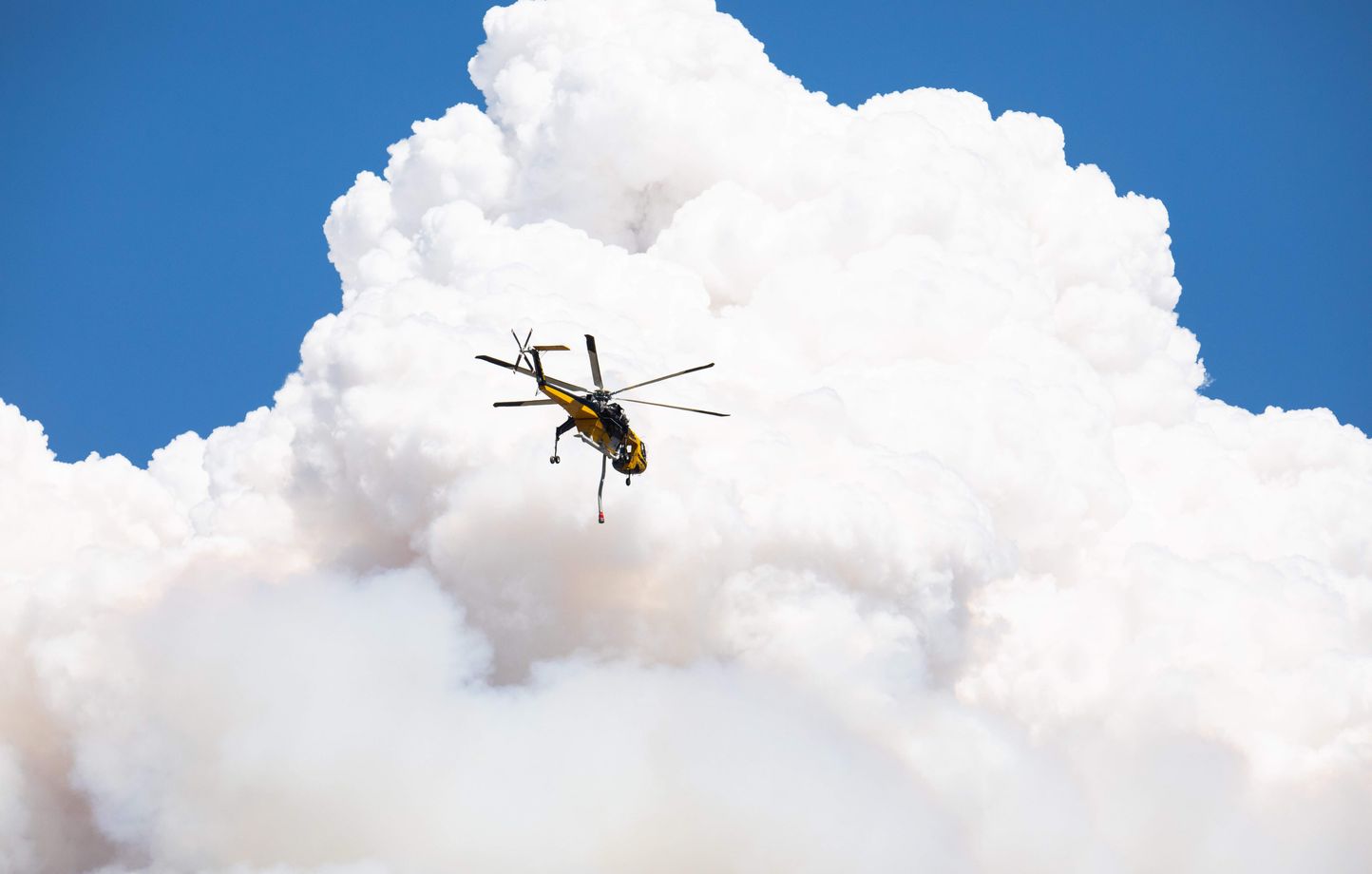 Un violent feu de forêt menace Reno, plus de 42.000 résidents évacués dans le Nevada