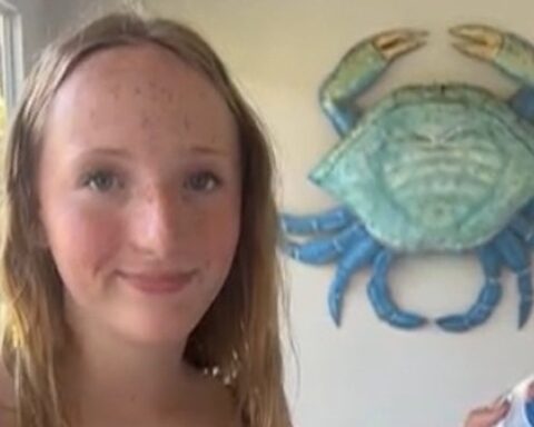 Une adolescente américaine de 13 ans mordue par un barracuda lors de ses vacances aux îles Turks-et-Caïcos