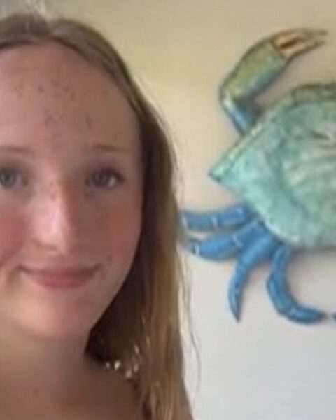 Une adolescente américaine de 13 ans mordue par un barracuda lors de ses vacances aux îles Turks-et-Caïcos