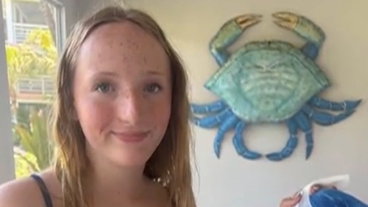 Une adolescente américaine de 13 ans mordue par un barracuda lors de ses vacances aux îles Turks-et-Caïcos