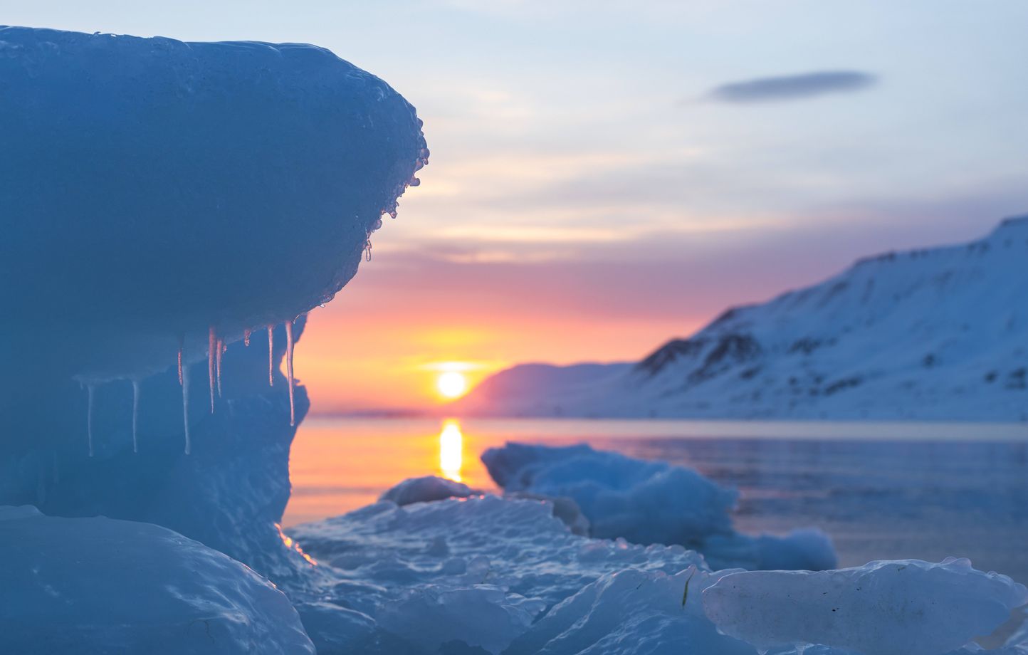 Une entreprise chinoise lance une liaison maritime régulière vers l'Europe via l'Arctique