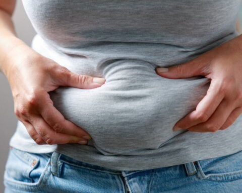 Une étude révèle un nouveau type de cellule souche favorisant la prise de poids abdominal avec l'âge