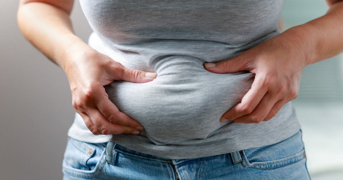 Une étude révèle un nouveau type de cellule souche favorisant la prise de poids abdominal avec l'âge
