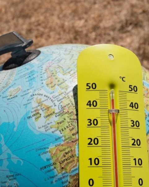 Vague de chaleur en France : 22 jours consécutifs, la deuxième plus longue jamais enregistrée