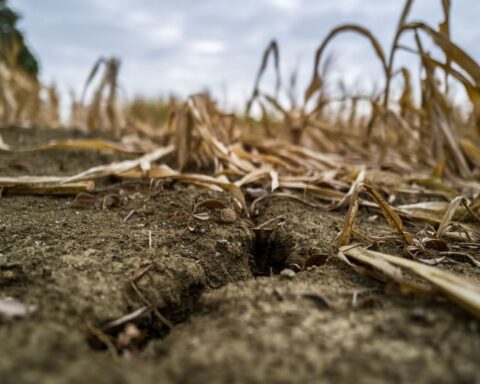 Vigilance jaune pour le Rhône et l'Isère, six départements du sud-est toujours en alerte orange