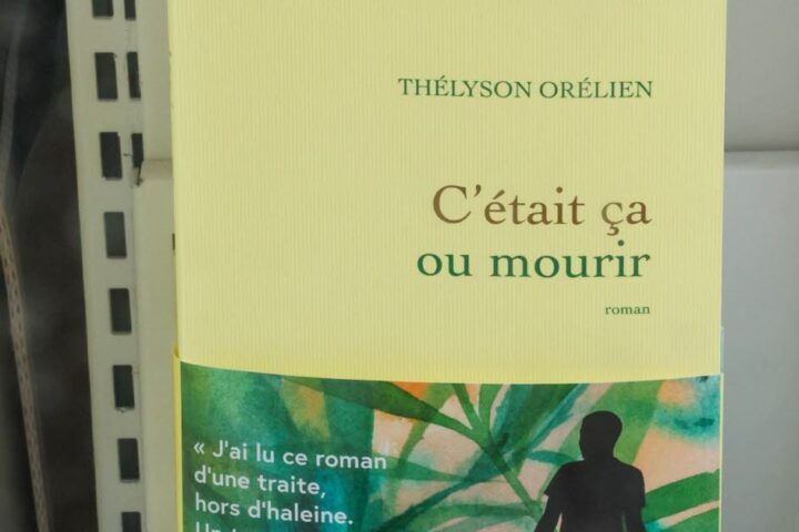 Accusé d'usage de l'IA, le roman de Thélyson Orélien en tête des ventes en France