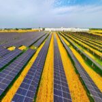 Aude : 25.000 m² de panneaux solaires installés sur le site de la coopérative agricole Arterris