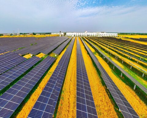 Aude : 25.000 m² de panneaux solaires installés sur le site de la coopérative agricole Arterris