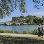 Avignon : un programme écologique pour protéger la biodiversité du palais des Papes et du pont