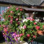 Canappeville, un village de l'Eure, cherche à obtenir sa première fleur du label Villes et Villages Fleuris