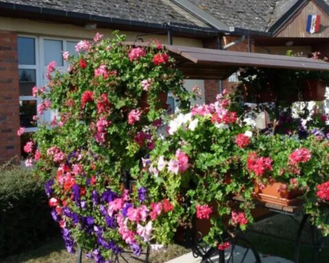 Canappeville, un village de l'Eure, cherche à obtenir sa première fleur du label Villes et Villages Fleuris
