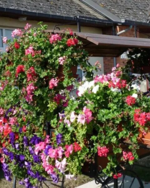 Canappeville, un village de l'Eure, cherche à obtenir sa première fleur du label Villes et Villages Fleuris