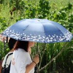 Canicule : six départements du sud-est en alerte orange avec des températures jusqu'à 39 °C