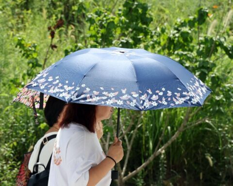 Canicule : six départements du sud-est en alerte orange avec des températures jusqu'à 39 °C