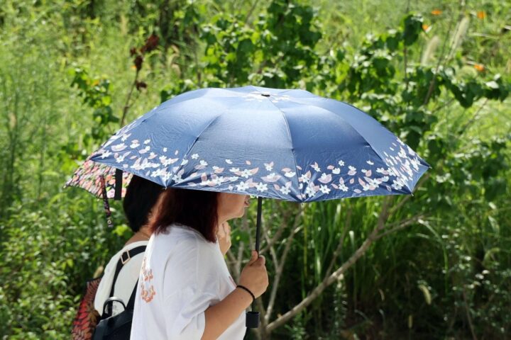 Canicule : six départements du sud-est en alerte orange avec des températures jusqu'à 39 °C