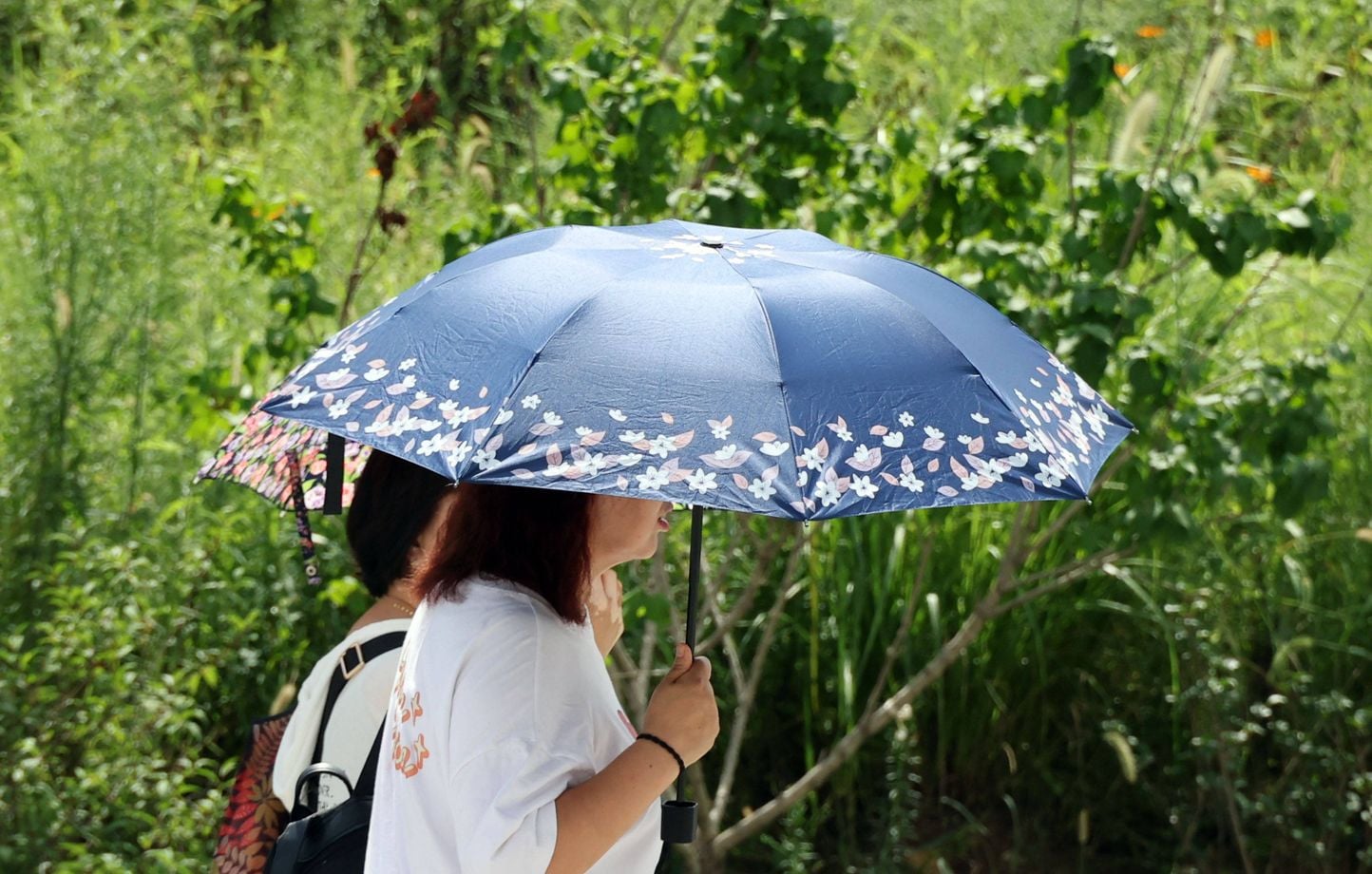 Canicule : six départements du sud-est en alerte orange avec des températures jusqu'à 39 °C