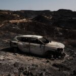 Chasse interdite au petit gibier dans les zones incendiées des Pyrénées-Orientales