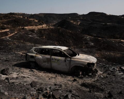 Chasse interdite au petit gibier dans les zones incendiées des Pyrénées-Orientales