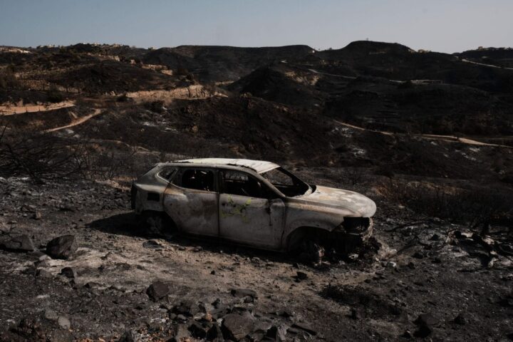 Chasse interdite au petit gibier dans les zones incendiées des Pyrénées-Orientales