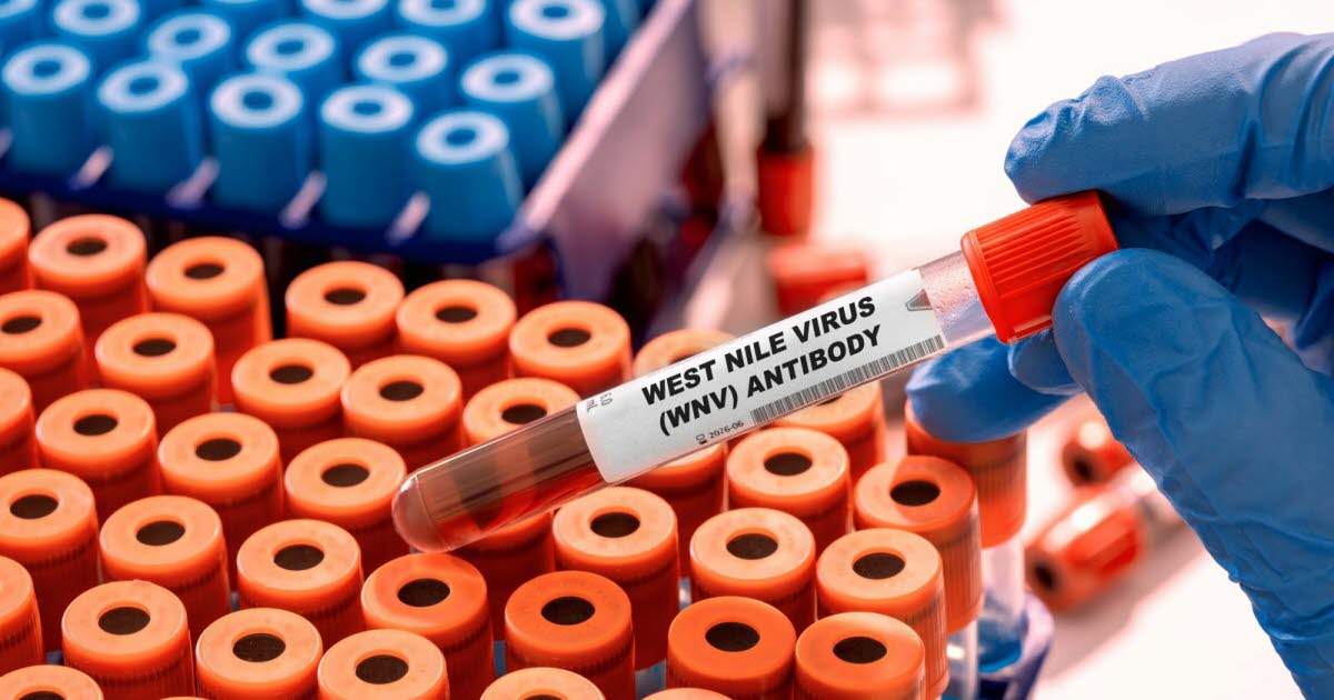 Circulation exceptionnelle du virus du West Nile en France cet été : quelles conséquences sanitaires ?