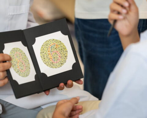 Daltonisme : comprendre les mécanismes de la perception des couleurs chez les humains
