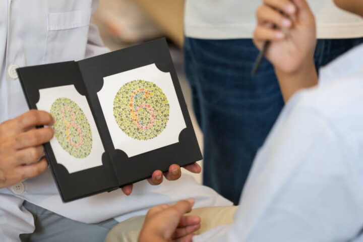 Daltonisme : comprendre les mécanismes de la perception des couleurs chez les humains