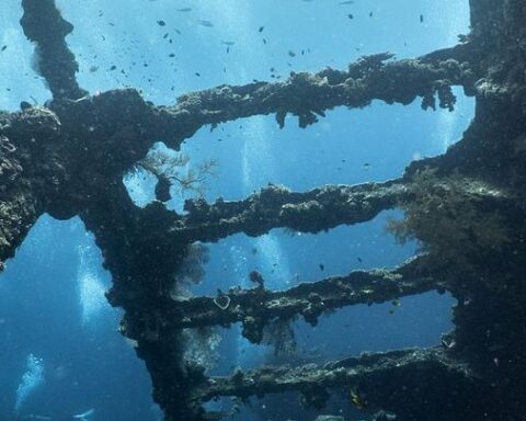 Découverte en Autriche : 500 barres de fer vieux de 2.200 ans dans le Danube