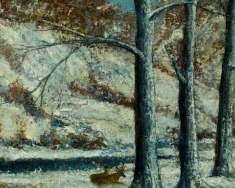Franche-Comté : controverse judiciaire autour d'un tableau de Courbet