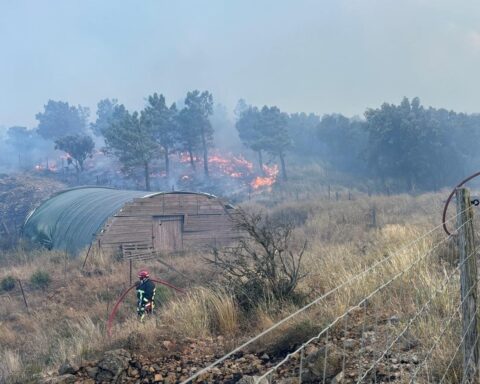 Incendie dans l’Aude : le feu de Puilaurens, qui a touché 225 hectares, toujours non maîtrisé