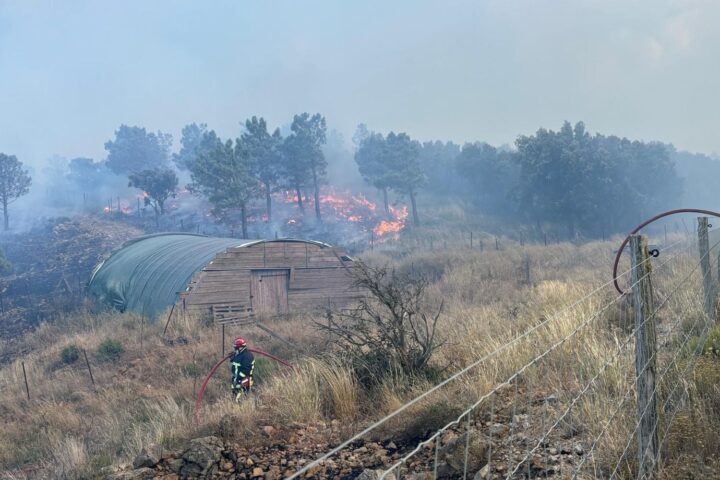 Incendie dans l’Aude : le feu de Puilaurens, qui a touché 225 hectares, toujours non maîtrisé