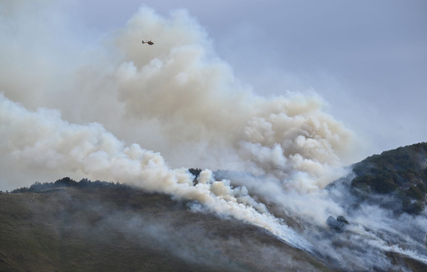 Incendie en Ardèche : 30 hectares brûlés, 120 pompiers mobilisés pour contenir le feu