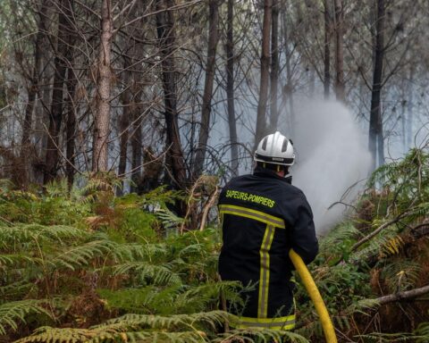 Incendies en France : plus de 20 départements imposent des restrictions à la chasse dans les zones touchées