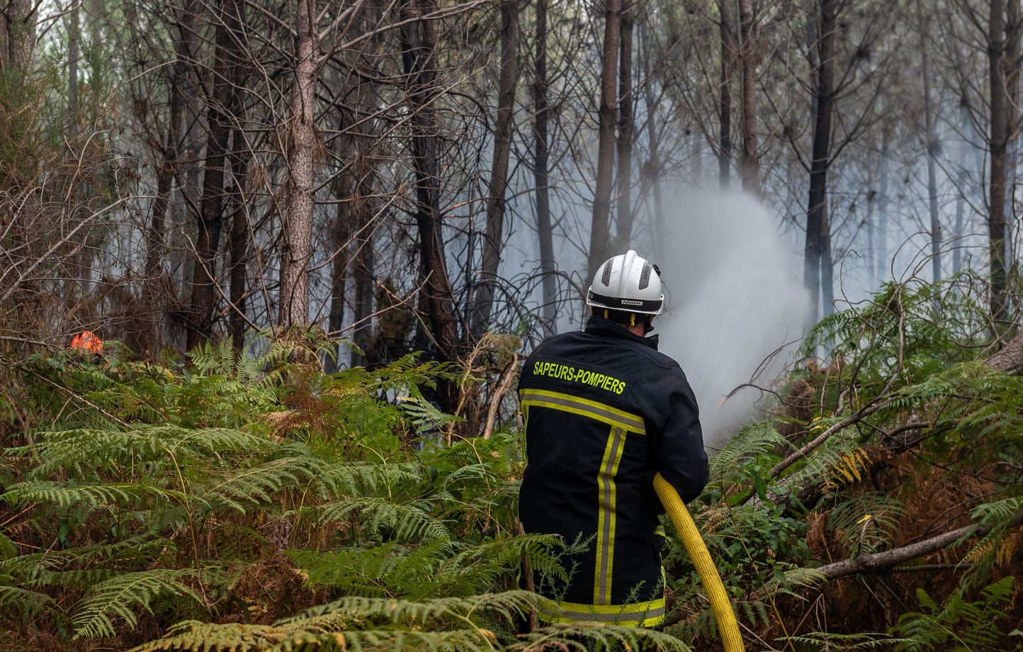 Incendies en France : plus de 20 départements imposent des restrictions à la chasse dans les zones touchées