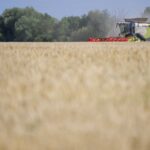 La ministre de l'Agriculture autorise un herbicide interdit pendant 120 jours, des ONG portent plainte