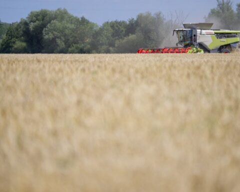 La ministre de l'Agriculture autorise un herbicide interdit pendant 120 jours, des ONG portent plainte