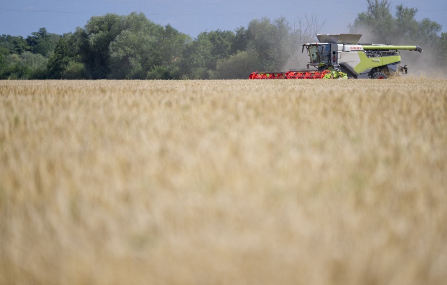 La ministre de l'Agriculture autorise un herbicide interdit pendant 120 jours, des ONG portent plainte