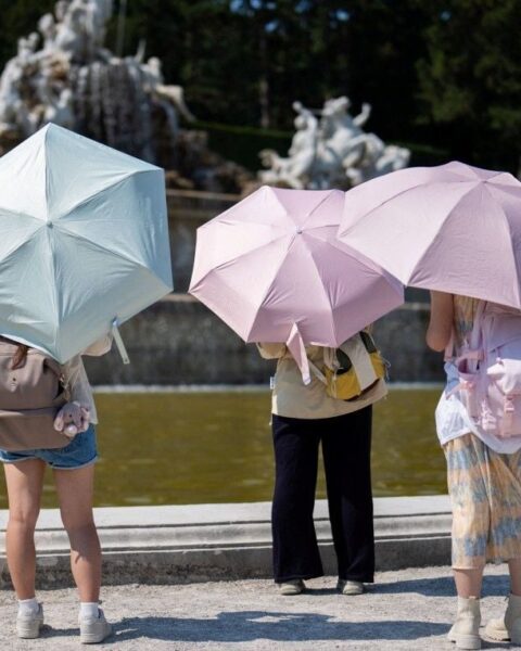 La mortalité due à la chaleur a augmenté de 161 % en 30 ans en Europe, adaptation urbaine trop lente