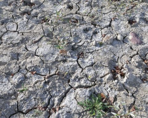 La situation des nappes phréatiques en France reste préoccupante après un été caniculaire