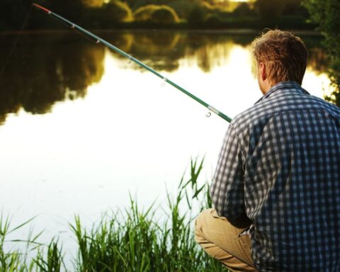 La Somme face à la controverse sur la gestion des silures entre pêcheurs et chasseurs