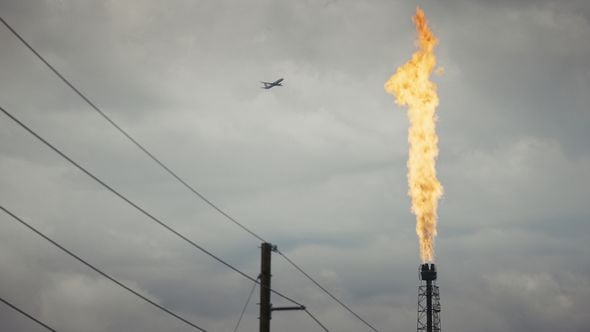Le documentaire « Fuck la planète » dénonce l'inaction des politiques face au chaos climatique
