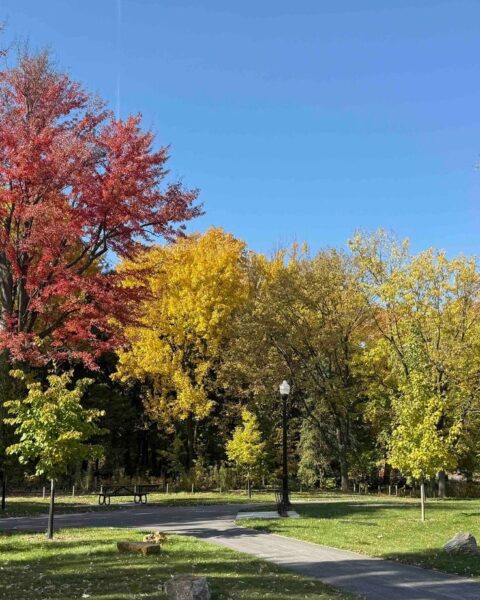 L'équinoxe d'automne arrive le 23 septembre à 2h05, et non le 21 septembre cette année