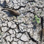 L'OMM met en garde contre la diminution des réserves d'eau douce sur Terre